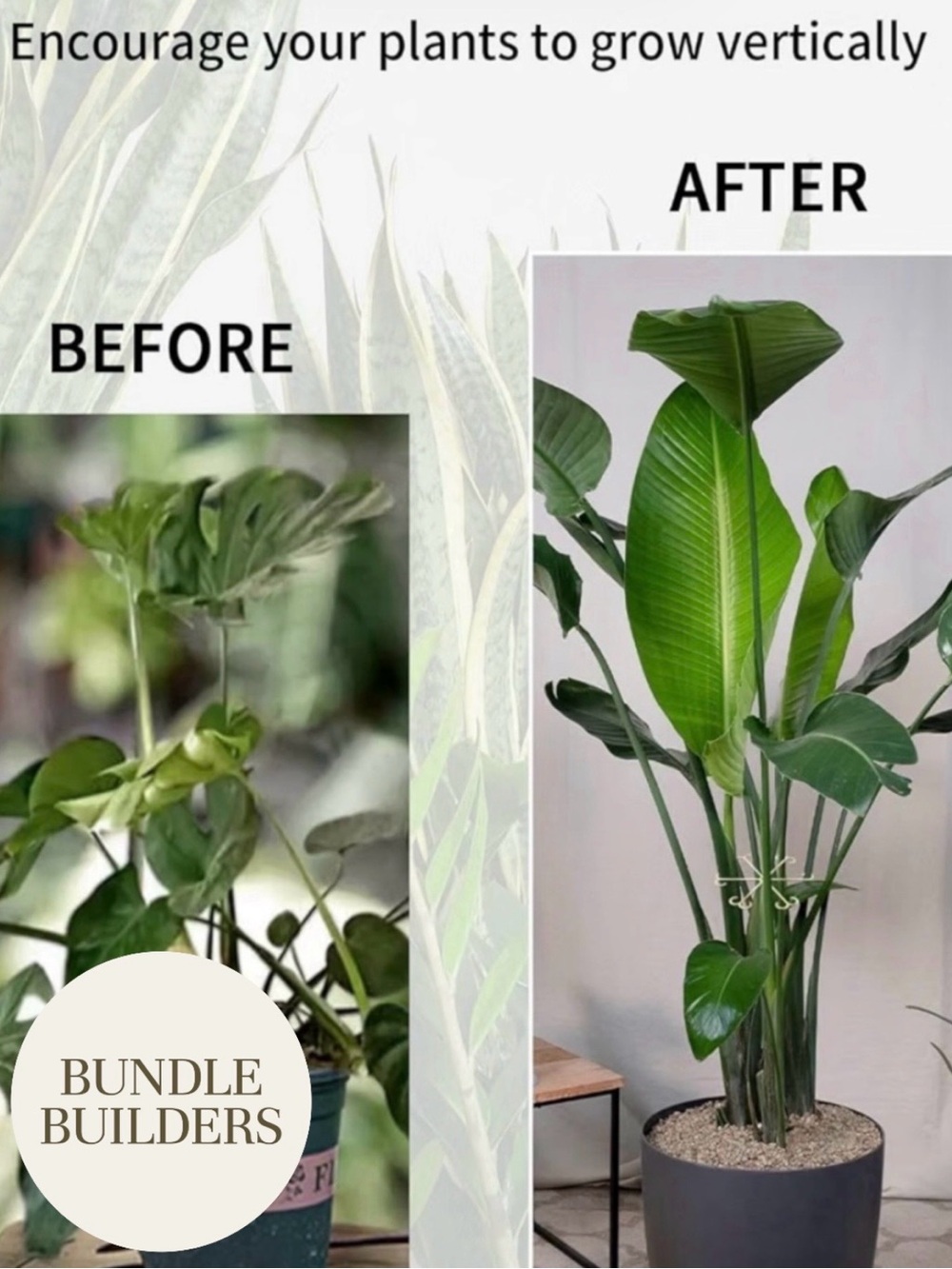$4 Add-on | Gosknor Plant Stem Support - Metallic Finish